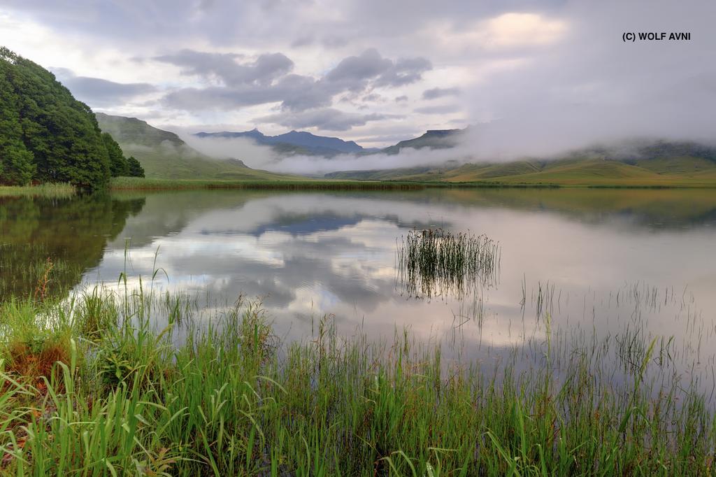 Giantscup Wilderness Reserve Underberg Dış mekan fotoğraf